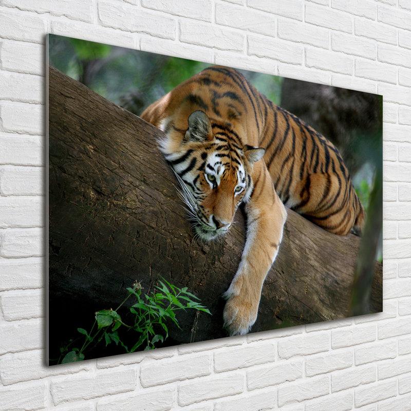 Tiger on the tree 1 Piece Wall Art on Glass