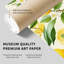«Food and Kitchen Lemon-300857128