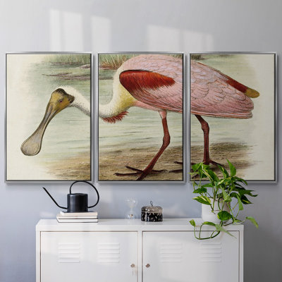 Roseat Spoonbills II 3 pièces