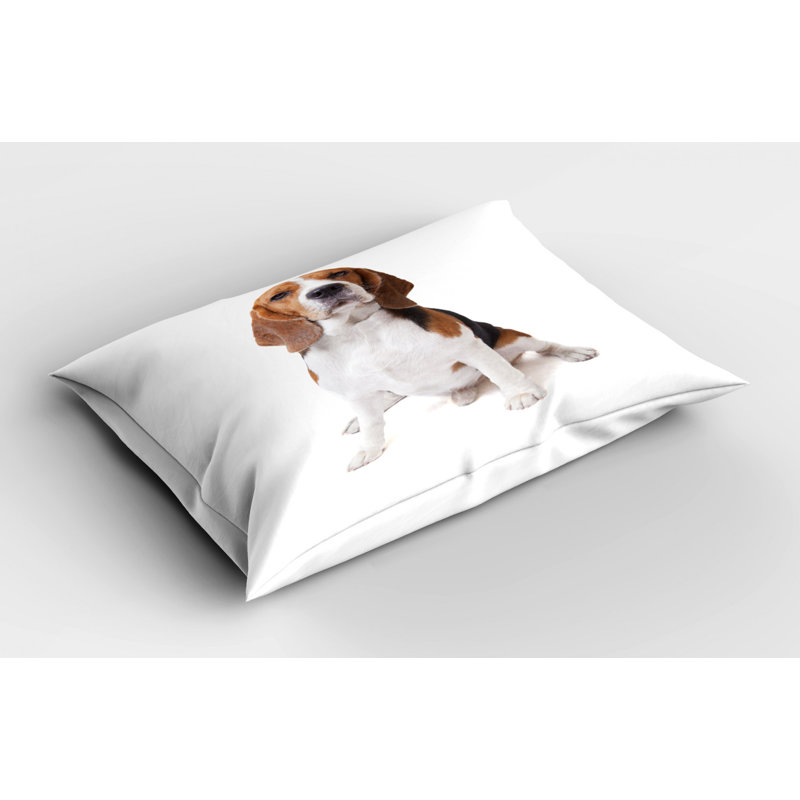 Eagle Polyester Sham Set, Queen