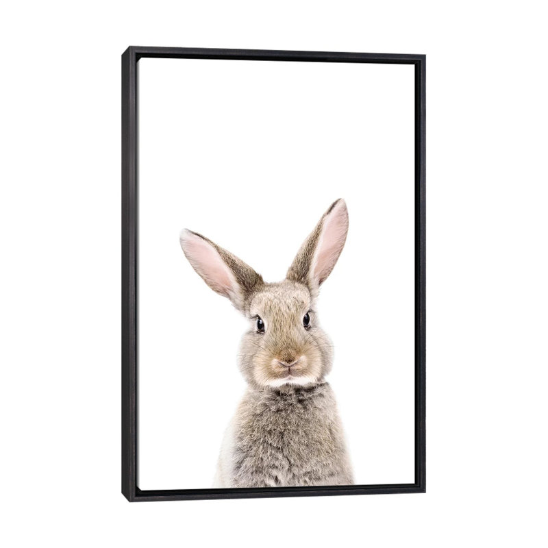 «Baby Bunny» par Sissi & Seb - impression d'art graphique, H 26 po x l 18 po x 1,5 po, Toile avec cadre noir patiné
