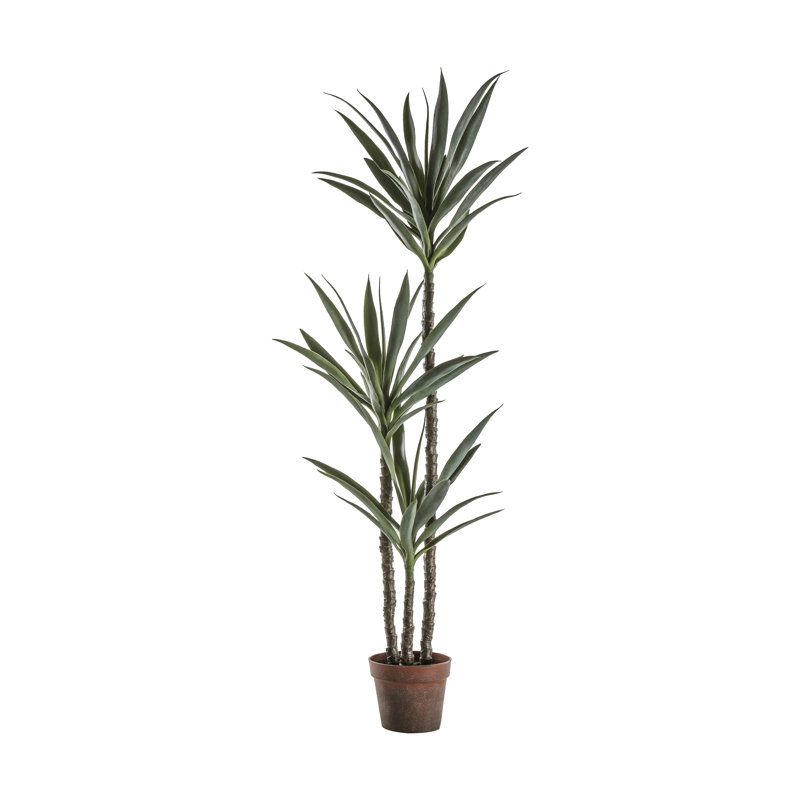 150cm Faux Yucca Tree in Pot
