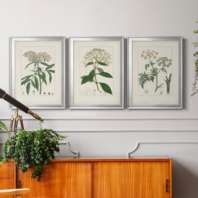 Antique Turpin Botanical VII - Ensemble de 3 peintures sur toile encadrées