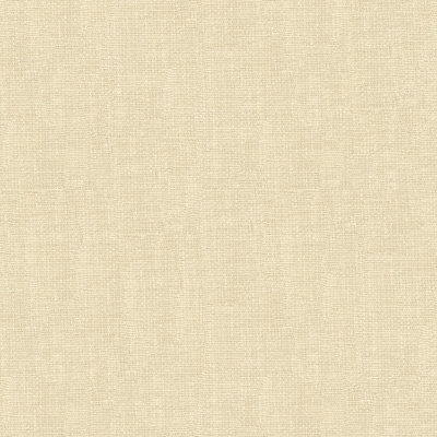 Basics Fabric