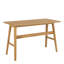 120cm W Rectangle Computer Desk