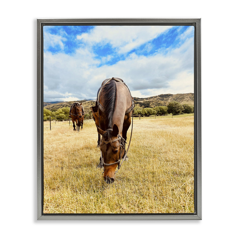 "Grazing Horses Pasture", art mural encadré flottant par Kali Wilson, Cadre flottant gris lustré, H 31 po x l 25 po