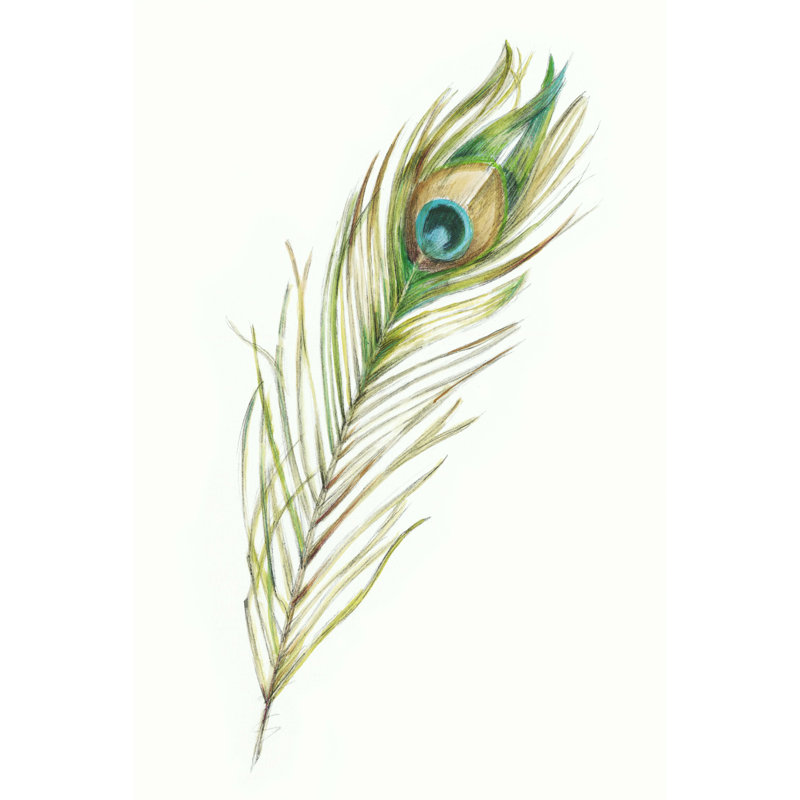 Plume de paon aquarelle II, H 12 po x l 8 po