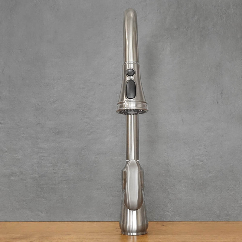 Belfry Kitchen Kitchen Faucet, Stainless Steel