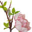 Polyethylene (PE) Magnolia Arrangement-2112031550