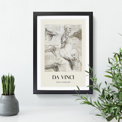 Human Anatomy Vol.3 by Leonardo Da Vinci - Picture Frame Drawing