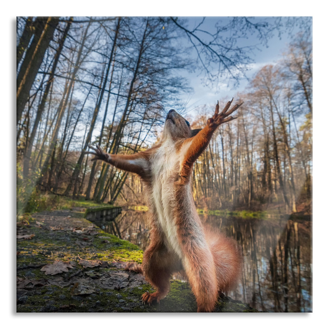 Glasbild Lustiges Eichhörnchen steht im Wald