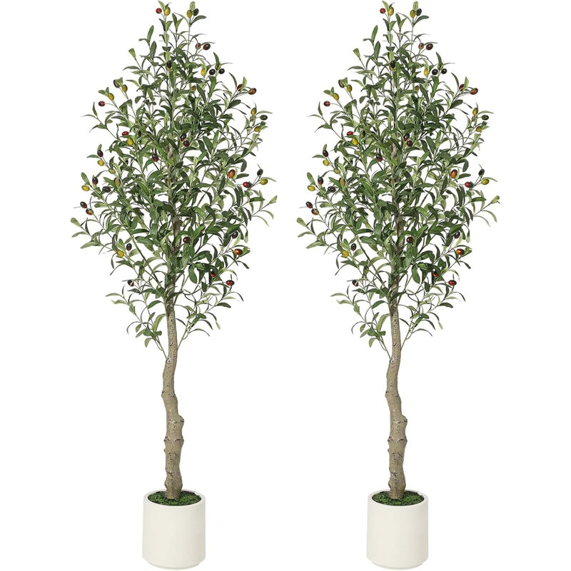 59.06cm Plant, 2