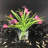 Arrangement de lys dans un vase-326323198