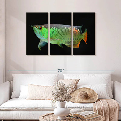 Arowana Fish