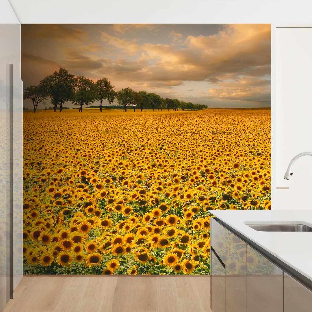 Matt Fototapete Feld mit Sonnenblumen 1,92 m x 192 cm