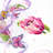 Pink Tulip Counted Cross Stitch Kit by Magic Needle 150-013