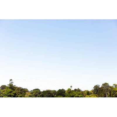 Sky and Trees by Imamember