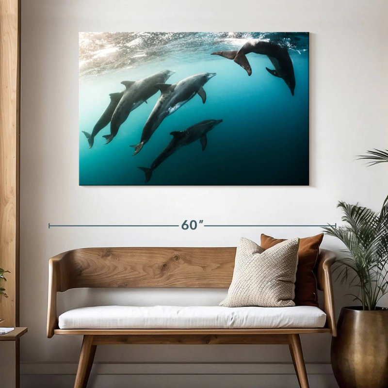 Brampt Dolphin Playmates, 32" H x 48" W