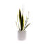 Faux Plant in Ceramic Planter