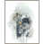 Image Brush Gel selected