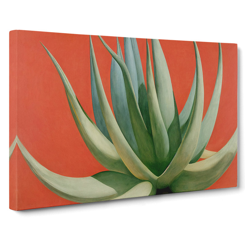 Compelling Aloe Vera Plant - Wrapped Canvas, 50cm H x 76cm W x 3cm D