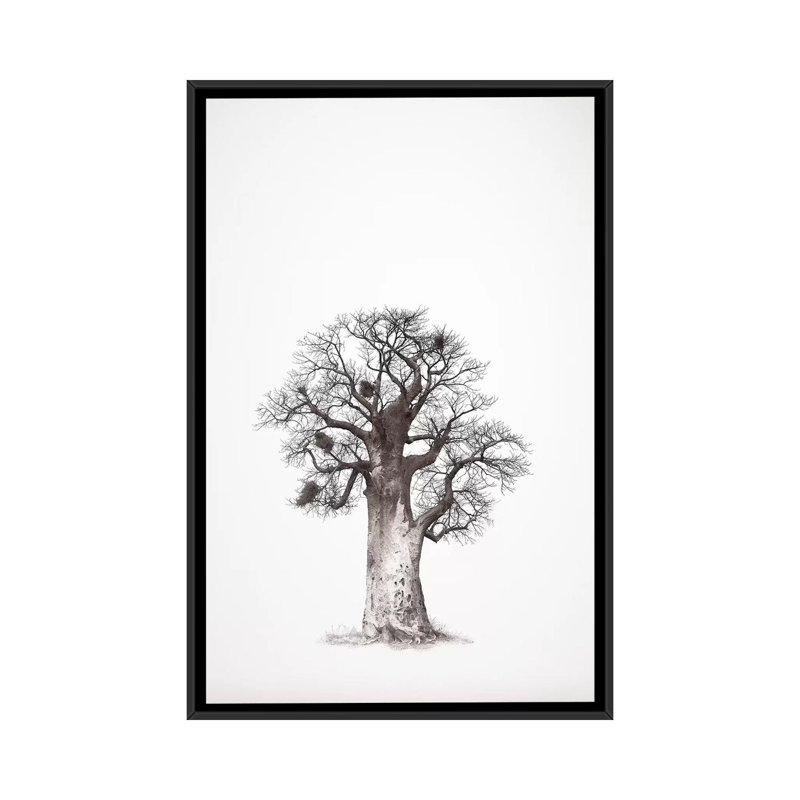Baobab Legacy V by Klaus Tiedge - Print on Canvas, Black Framed, 66.04 cm H x 45.72 cm W