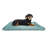Foye Orthopedic Polyester Pet Bed-1005932389-1005932388