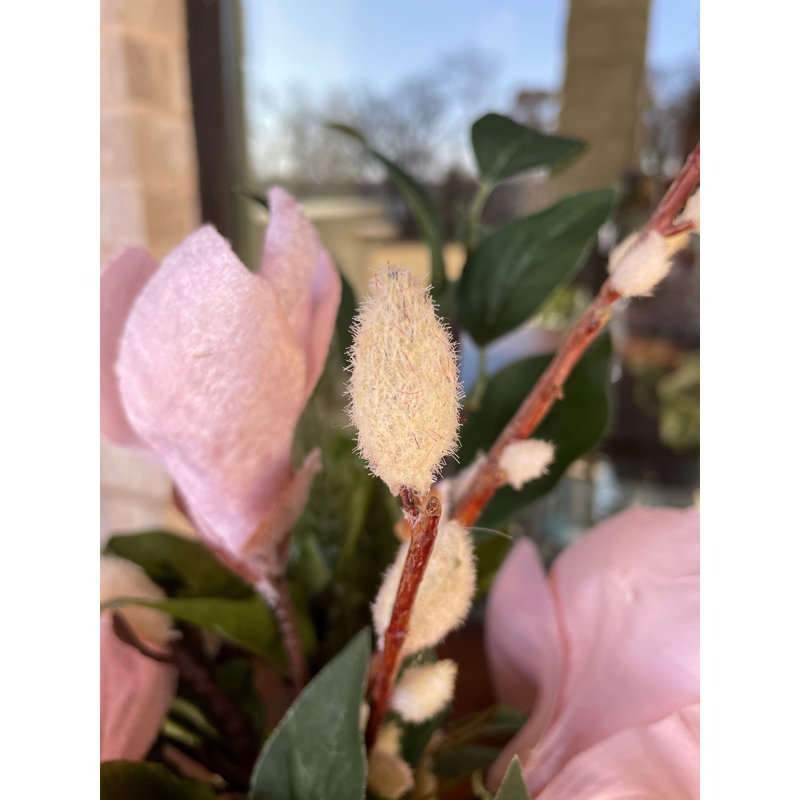 Arrangement de magnolia dans un vase