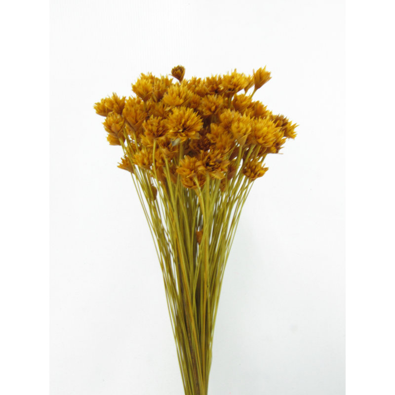 Mixed Assortment Arrangement, Golden