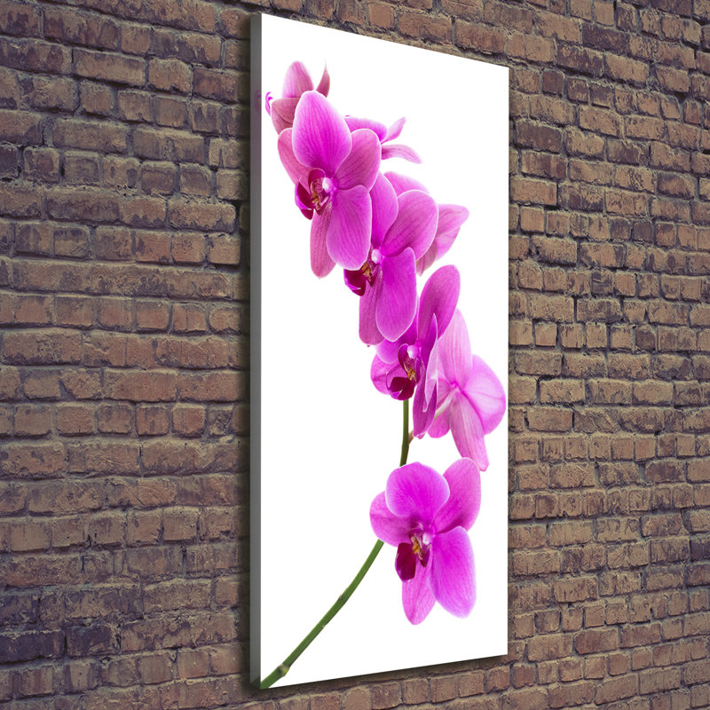 Pink Orchid - Wrapped Canvas Print