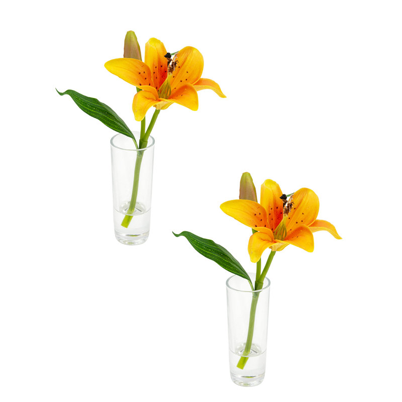 Vase lys, Jaune