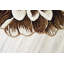 Tapis botanique Vidrine-123728775