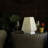 10'' Battery Powered Integrated LED Outdoor Table Lamp-55663579
