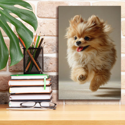  «Cute Fluffy Pomeranian 2» par Ann Klee, art mural sur toile, 12 po x 18 po