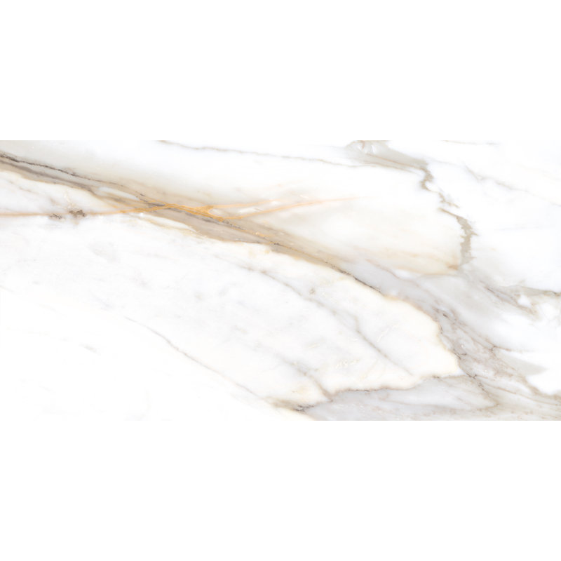 Calacata 24" x 47" Porcelain Wall & Floor Tile
