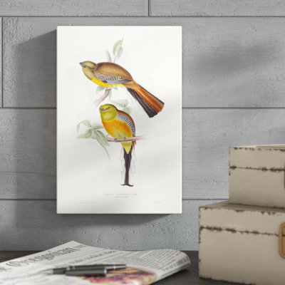 «Tropical Trogons VI», peinture sur toile
