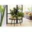 Pot Planter-69444365-69444366