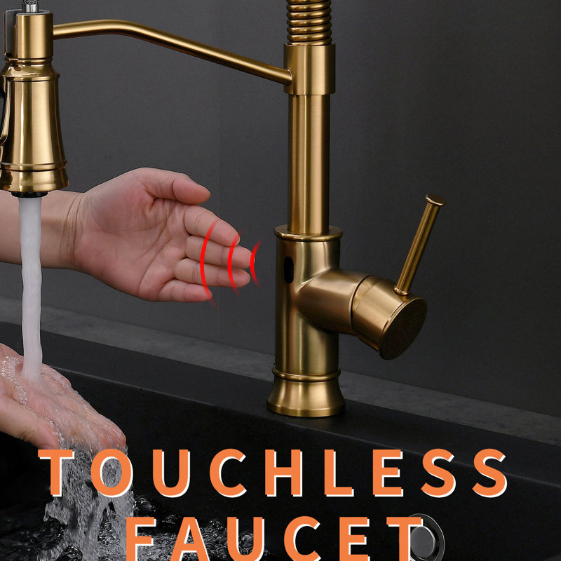 Robinet de cuisine Touchless