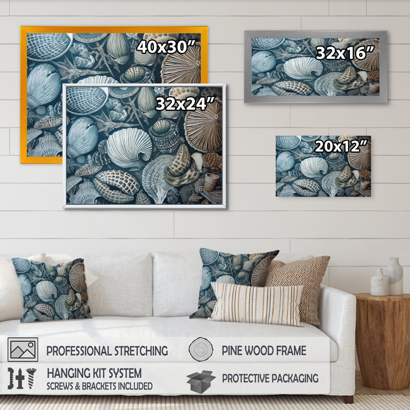 Seaside Seashells I, reproduction d'art sur toile, Cadre photo noir, H 16 po x l 32 po x P 1 po