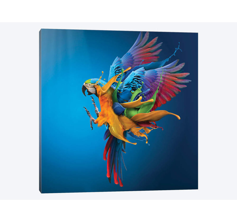 Sulaiman Almawash - Wrapped Canvas Print, 66.04 cm H x 66.04 cm W x 1.91 cm D