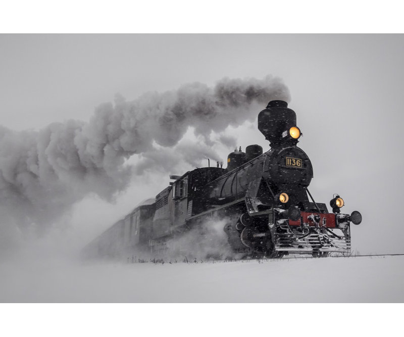 Wrapped Canvas Print, 76.2 cm H x 50.8 cm W