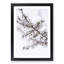 Branch of a White Cherry Blossom Tree - Picture Frame Painting Print-55513026-55513027