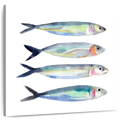 Bramine sardine équipe I