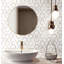 Honeycomb Mosaic Wall & Floor Tile