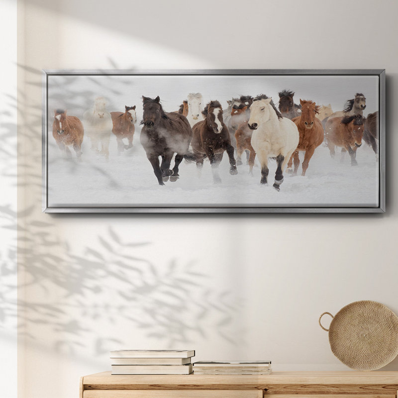 Pasture Run- Framed Canvas, 20" H x 50" W
