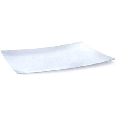 Disposable Serving Tray