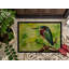 Paillasson Rauls-1543364364