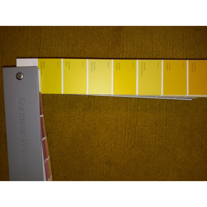 Palila Area Rug in Yellow