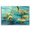 «Sea Turtles» par Julia Purinton, art mural en verre acrylique-1265497798