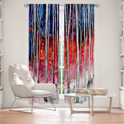 Fayyad Room Darkening Curtain Pair